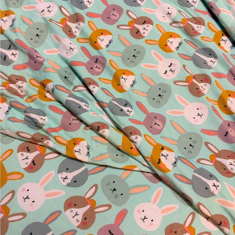 Little Sleepies Bunny Cloud Blanket